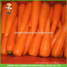 2016 New Crop Chinese Fresh Carrot Preço mais baixo